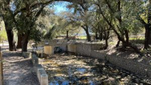 Torrent de Binifaldó 26.3.2023