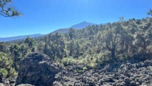 Ausblick Teide