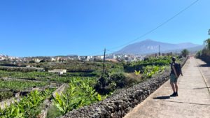 Rückblick Teide