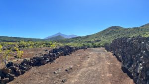 Teide im Hintergrund