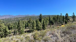 Sicht auf den Teide