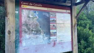 Cami de Cavalls