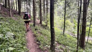 Waldweg