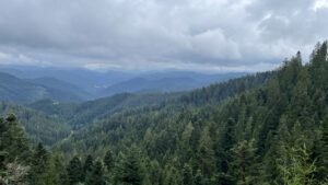 Ausblick