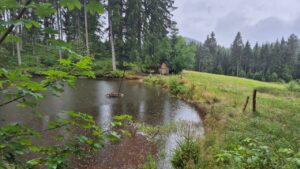 Mathisleweiher