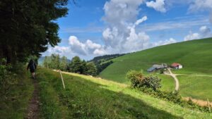 Am Waldrand