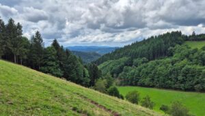 Ausblick