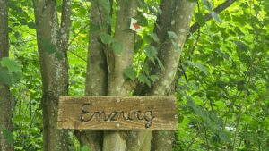 Enzweg