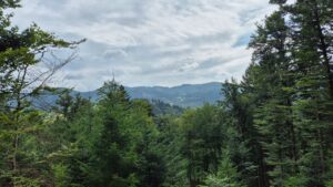 Aussicht