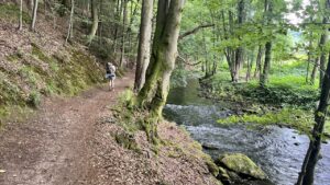 Weg am Fluss