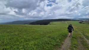 Wiesenweg