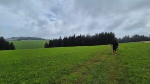 Landschaft