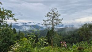 Landschaft