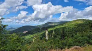 Aussicht vom Altsteigerskopf