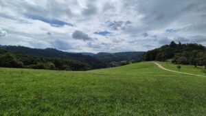 Landschaft