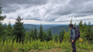 Aussicht Nordschwarzwald