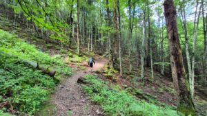 Belchensteig