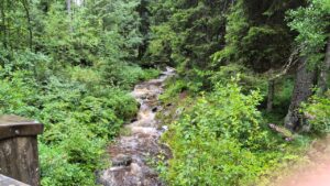 Viel Wasser