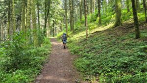Waldweg