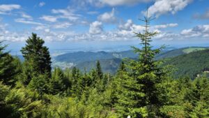 Ausblick Münstertal-