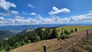 Ausblick Richtung Alpen