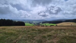 Aussicht Richtung Breitenau