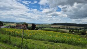 Markgräfler Land