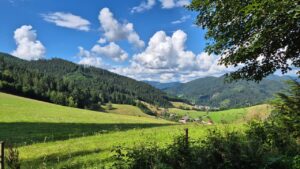 Waldwiesen