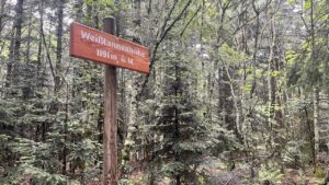 Weißtannenhöhe (1190m)