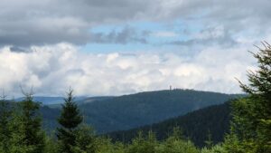 Friedrichsturm Rückblick