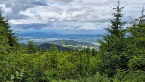 Ausblick Rheintal