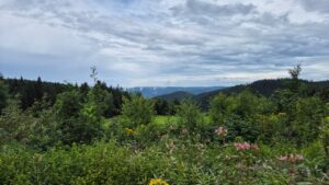 Aussicht