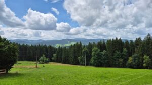 Aussicht Feldberg