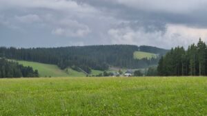 Gewitter