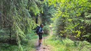 Wald