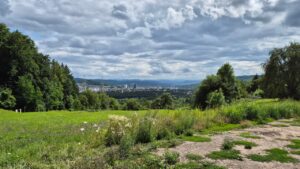 Aussicht Richtung Basel