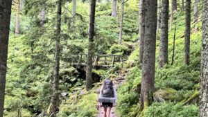 Tannenwald