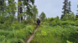 Wanderweg