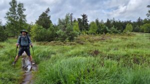 Hochmoorlandschaft
