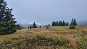 Landschaft