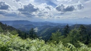 Ausblick Renchtal