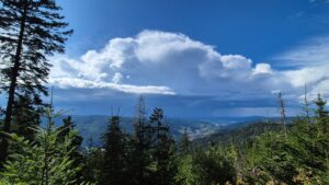 Gewitter