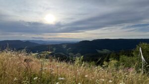 Ausblick