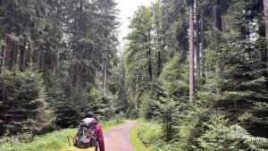 Tannenwald