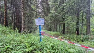 Umleitung