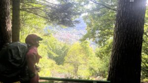 Forbach