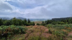 Aussicht