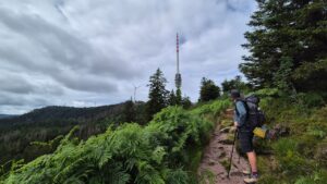 Ausblick Hornisgrinde