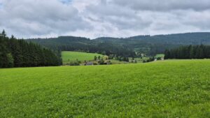 Mittlerer Schwarzwald