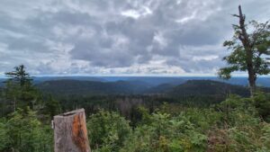 Blick Richtung Baiersbronn